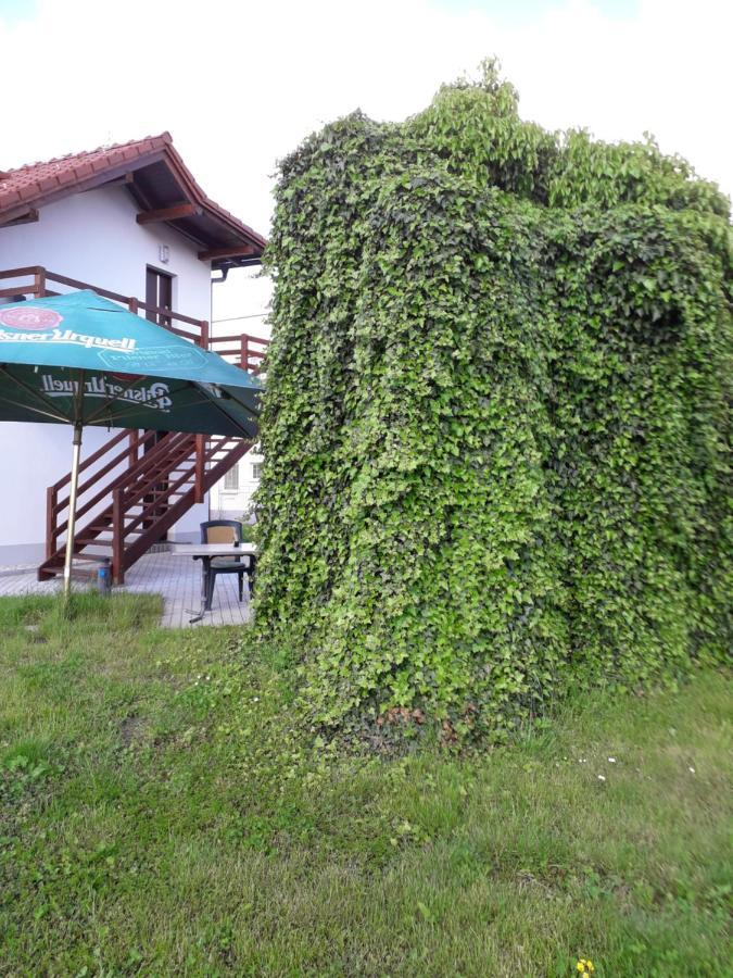 Penzion A Restaurace U Strnada Klatovy Extérieur photo